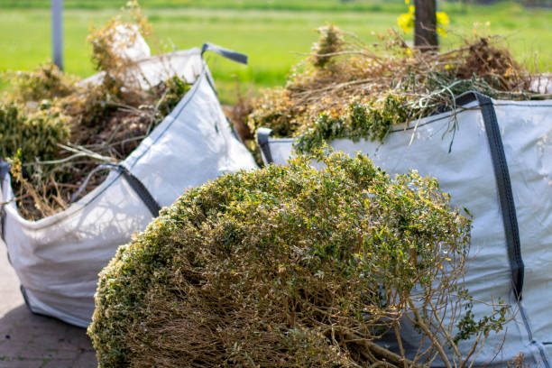 Best Affordable Junk Removal Services  in Virginia, IL