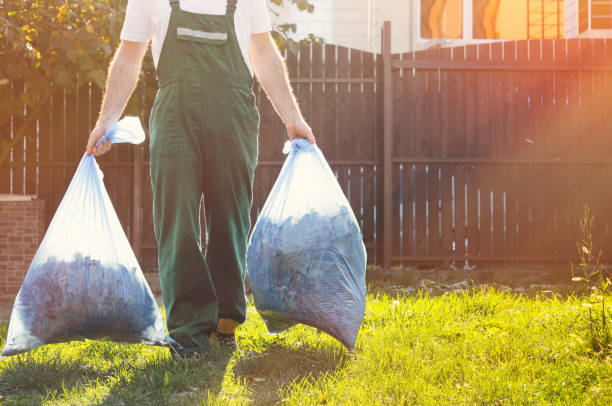 Best Electronics Removal Services  in Virginia, IL